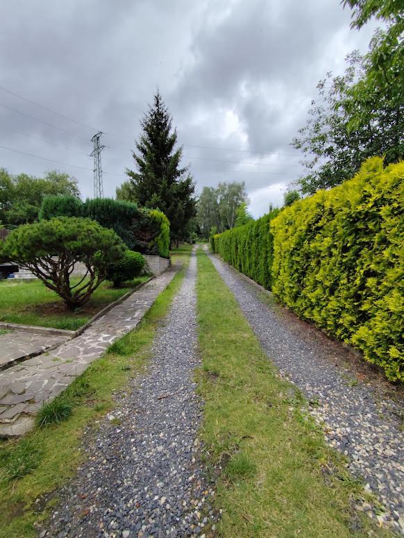 Apartman Terezka Jílové Εξωτερικό φωτογραφία